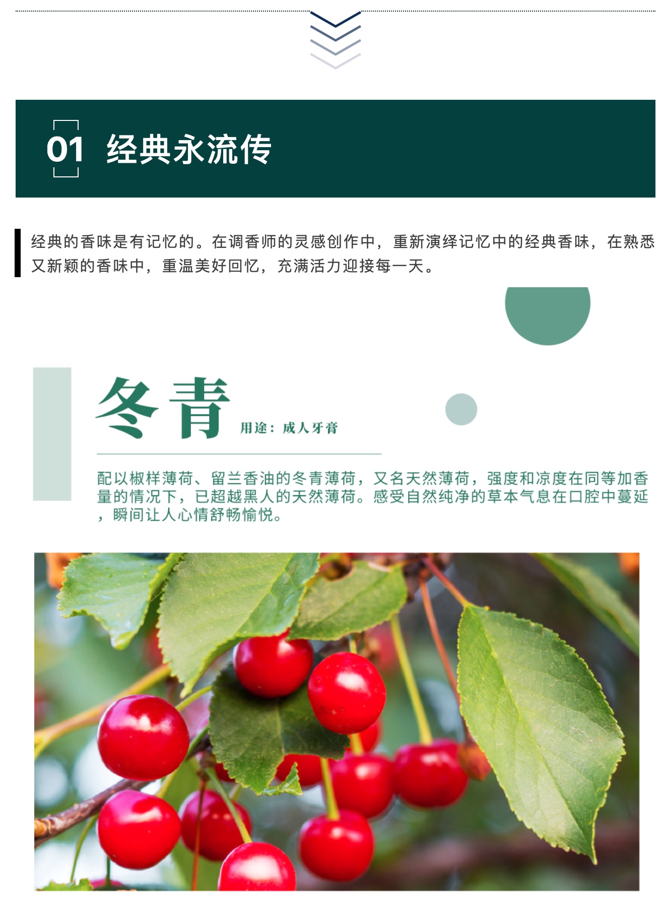 hjc888黄金城·(中国区)官方网站