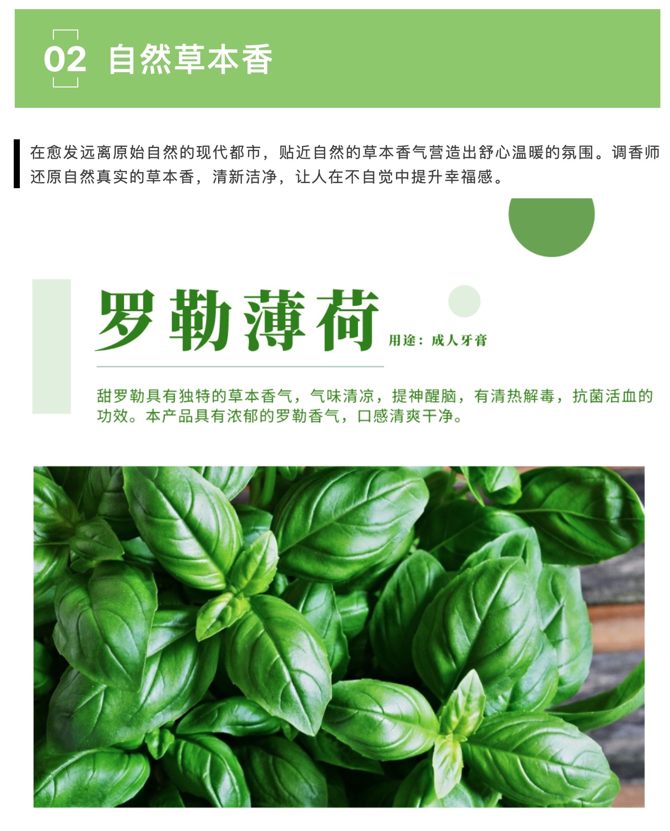 hjc888黄金城·(中国区)官方网站