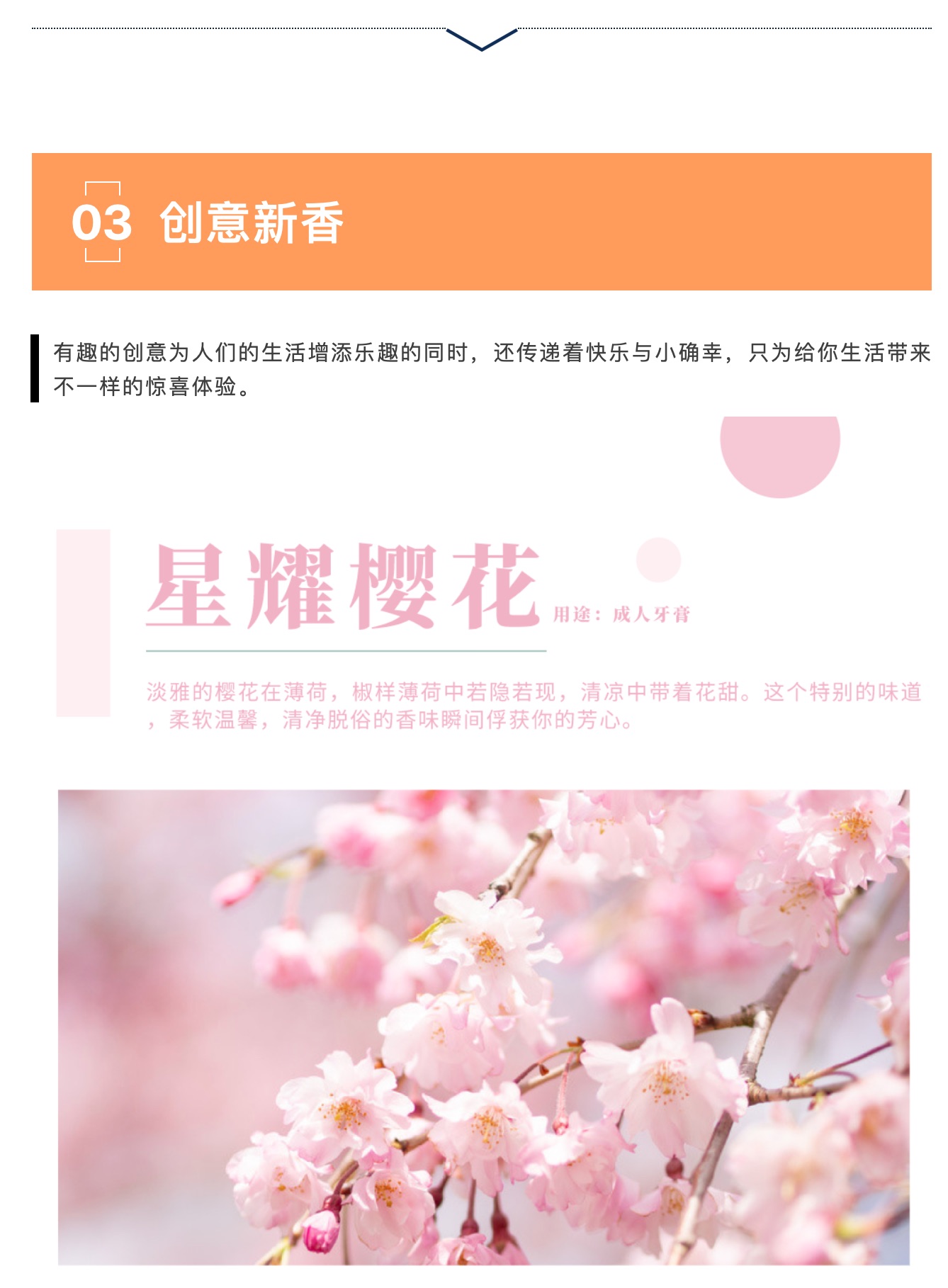 hjc888黄金城·(中国区)官方网站