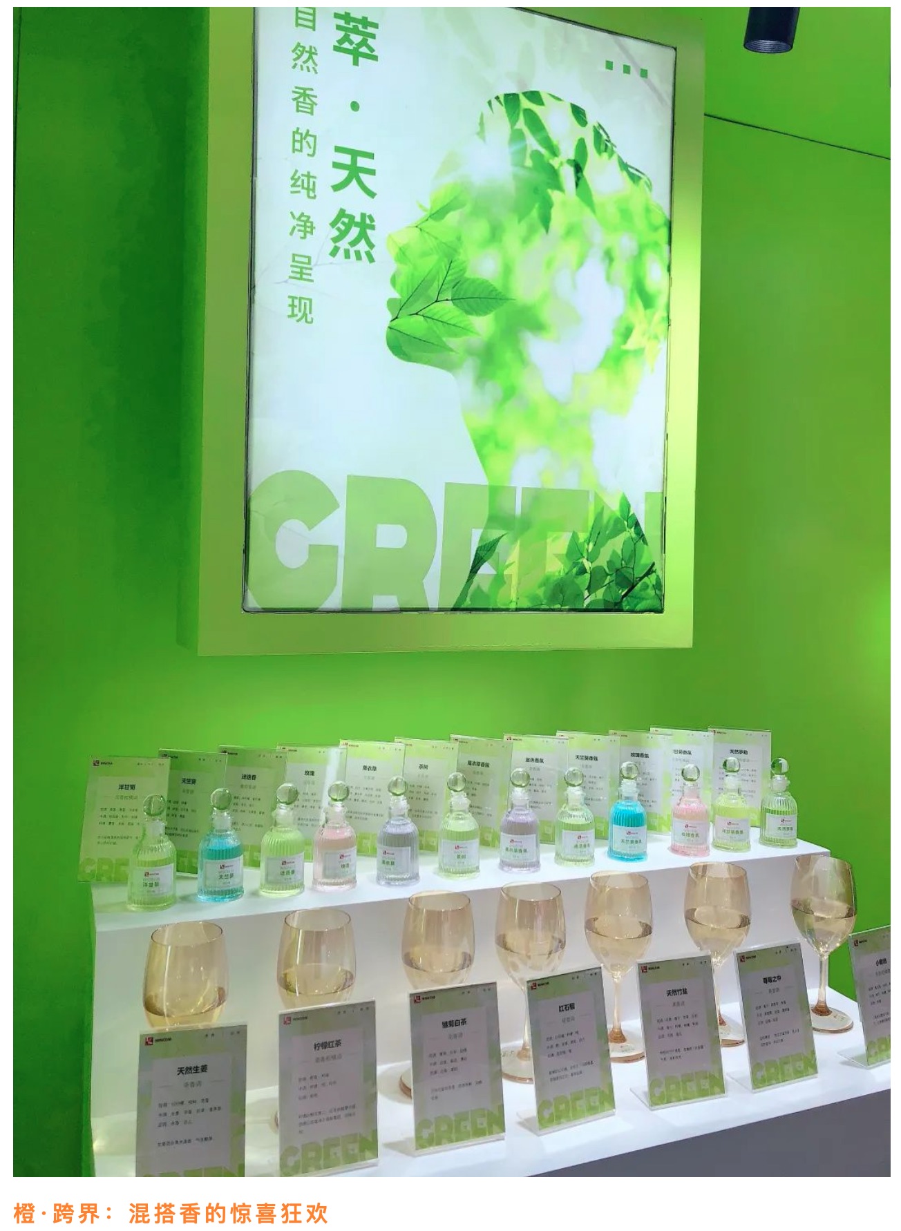 hjc888黄金城·(中国区)官方网站